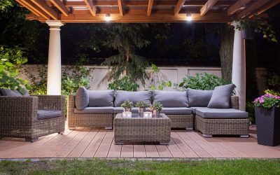 8 Plants for Your Patio