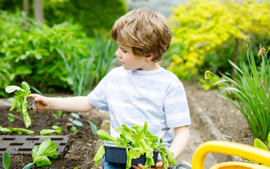 5 Tips for Gardening with Kids